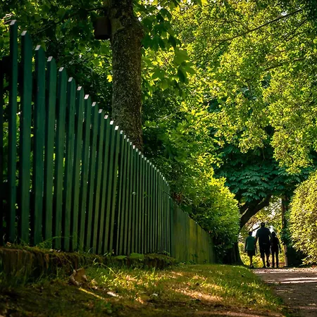 Haus Heimat 1 Διαμέρισμα Spiekeroog