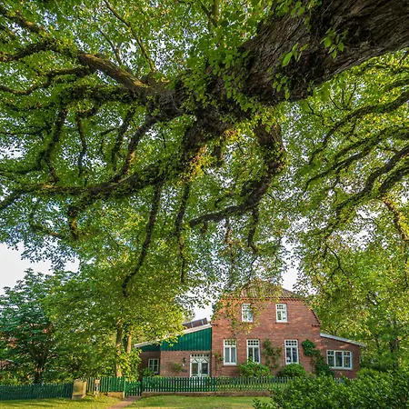 Διαμέρισμα Haus Heimat 1 Spiekeroog